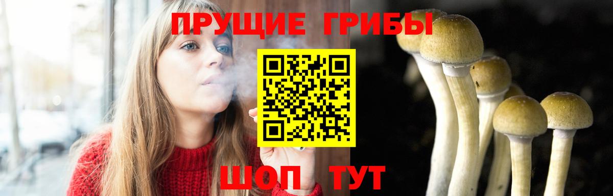 Галлюциногенные грибы Psilocybe  Вход с VPN  Зеленодольск 